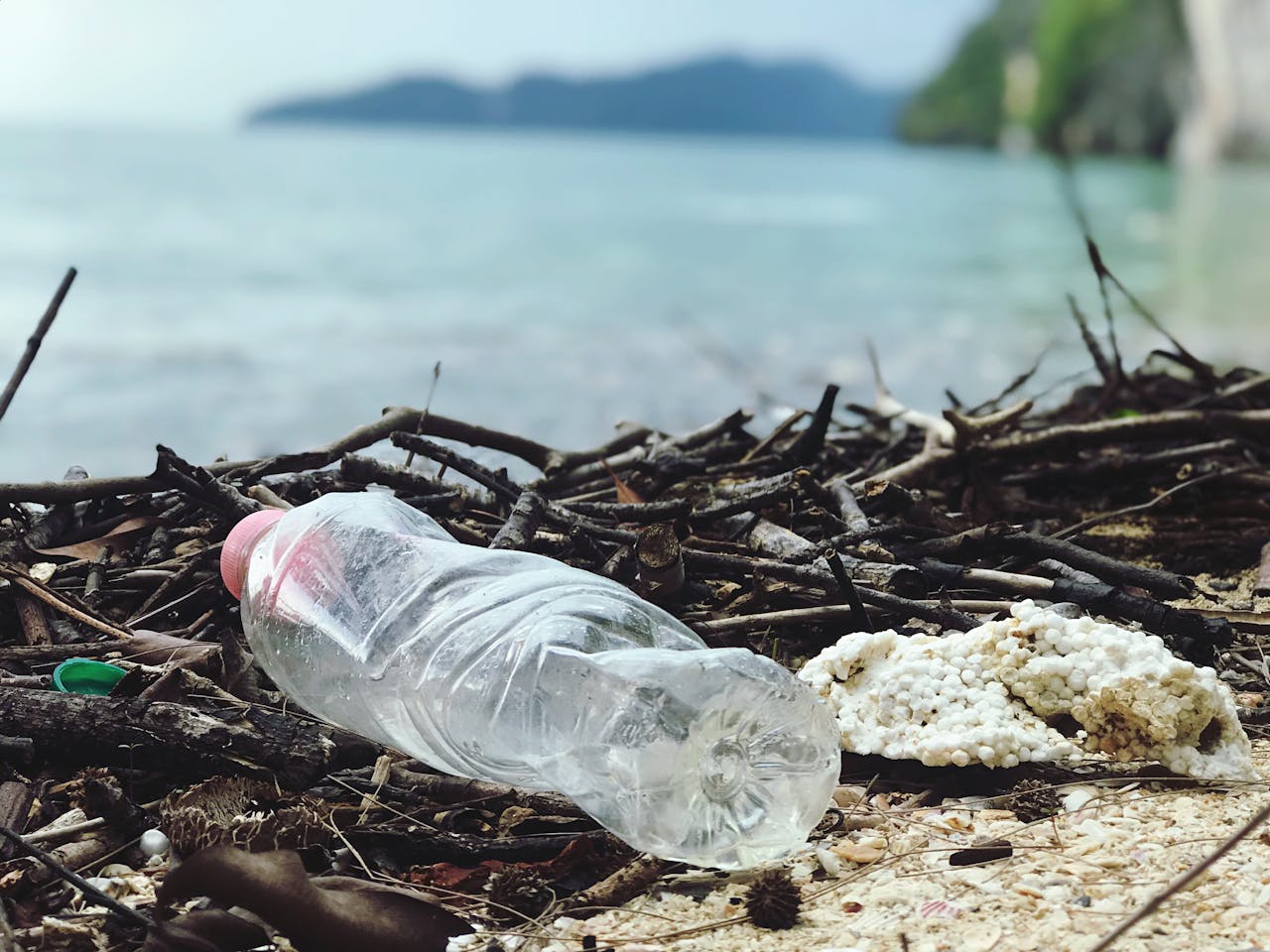 Let’s Tackle Plastic Together: DMC’s New Plan for World Environment Day