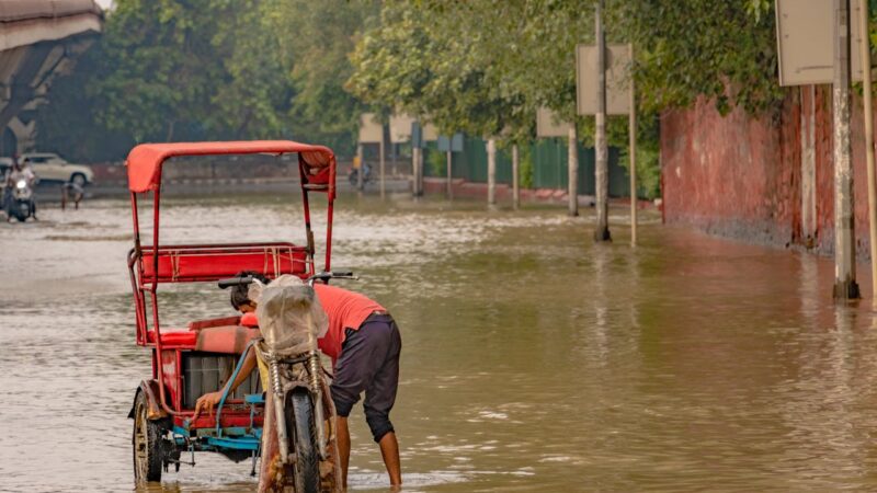 Embrace Ayurvedic Wisdom for Health During Monsoons: Tips and Tricks