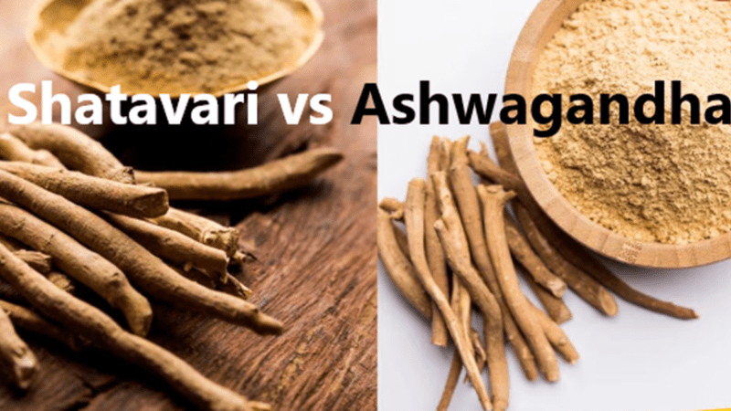 Shatavari or Ashwagandha? Finding Best Fit for Your Wellness Needs