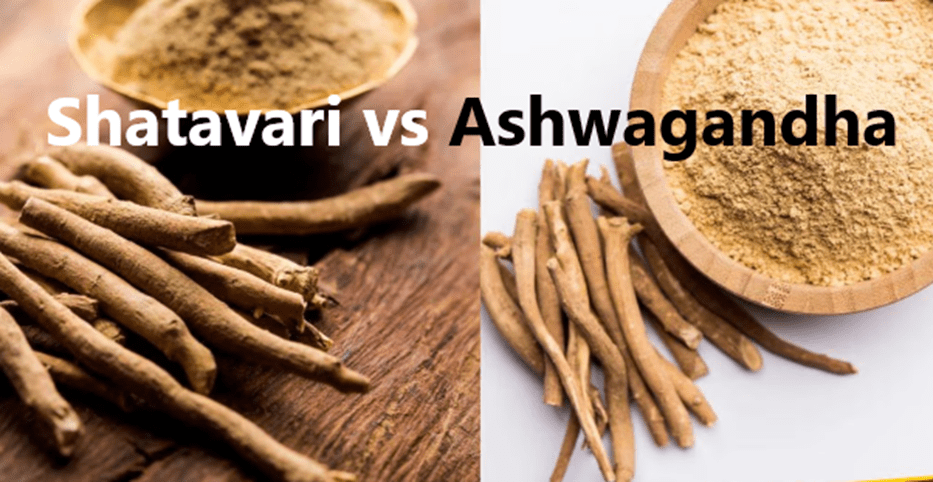 Shatavari or Ashwagandha? Finding Best Fit for Your Wellness Needs