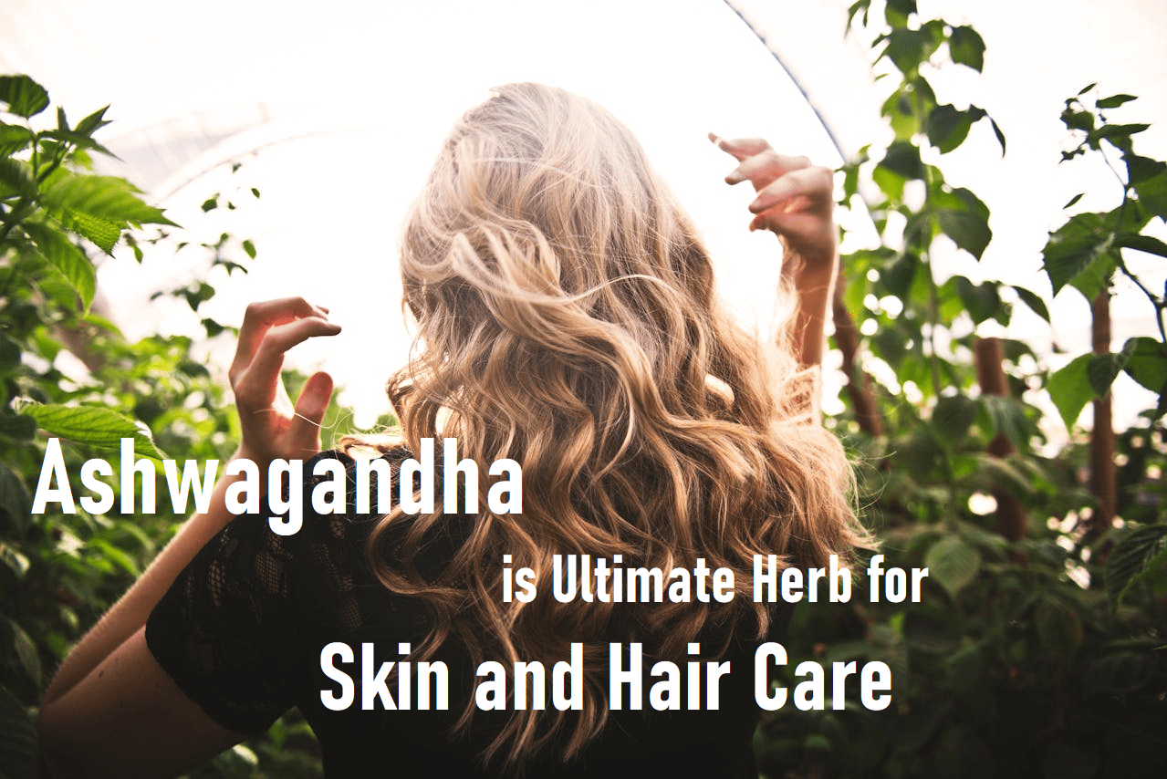 Why Ashwagandha is Ultimate Herb for Skin and Hair Care