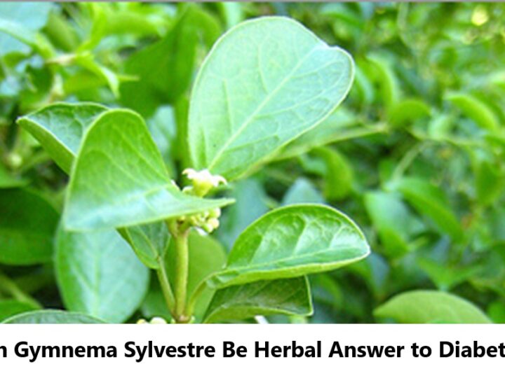 Can Gymnema Sylvestre Be Herbal Answer to Diabetes?