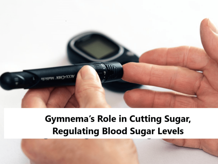 Gymnema’s Role in Cutting Sugar, Regulating Blood Sugar Levels