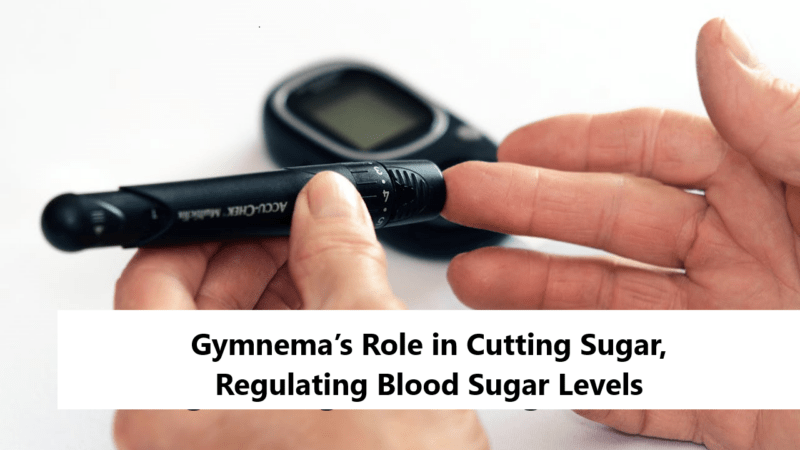 Gymnema’s Role in Cutting Sugar, Regulating Blood Sugar Levels