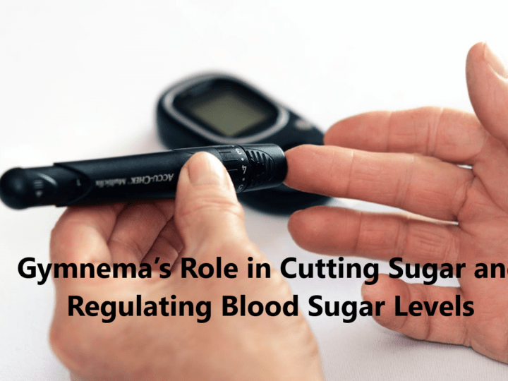 Gymnema’s Role in Cutting Sugar, Regulating Blood Sugar Levels