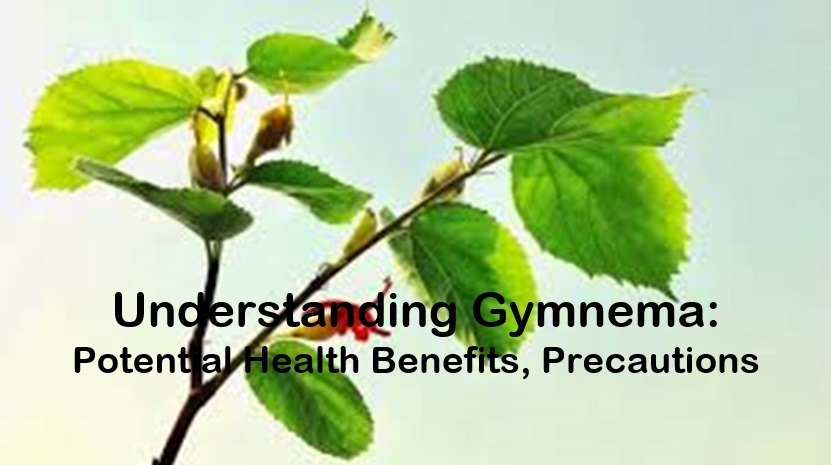 Understanding Gymnema: Potential Health Benefits and Precautions